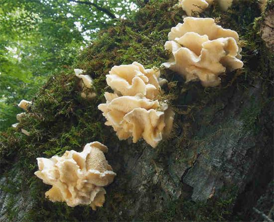 圖片關(guān)鍵詞 圖片關(guān)鍵詞