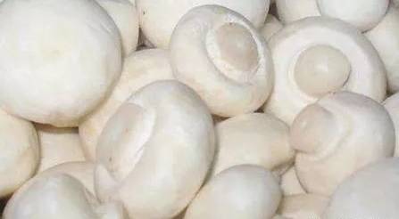 圖片關鍵詞 圖片