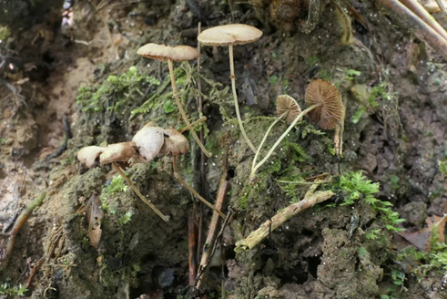 圖片關鍵詞 圖片關鍵詞