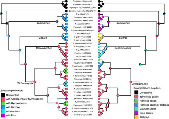 圖片關鍵詞 圖片關鍵詞