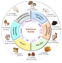 圖片關鍵詞 圖片關鍵詞