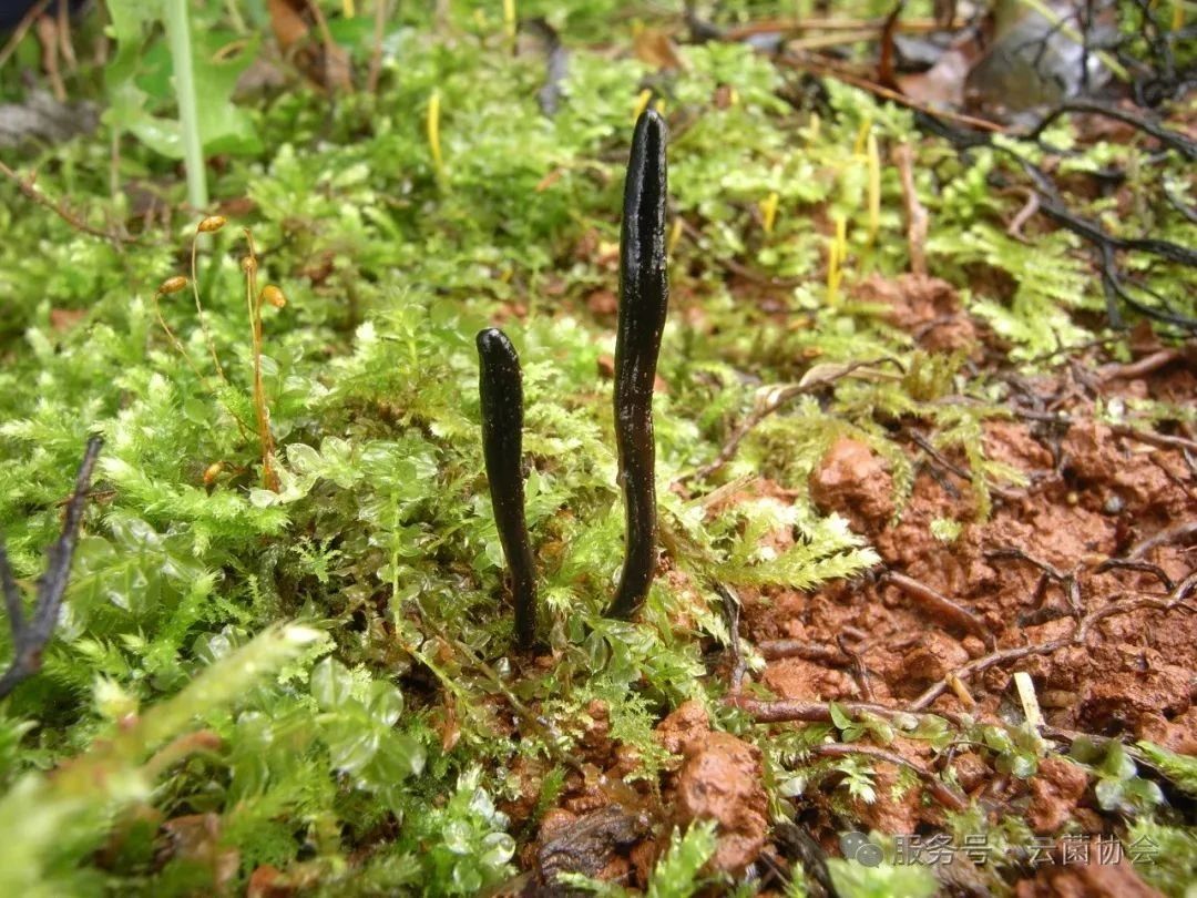 圖片關(guān)鍵詞 圖片關(guān)鍵詞