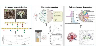 行業(yè)動(dòng)態(tài)