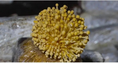 行業(yè)動態(tài)